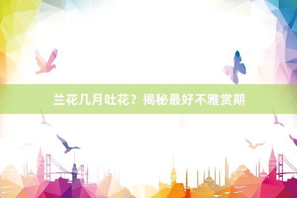 兰花几月吐花？揭秘最好不雅赏期